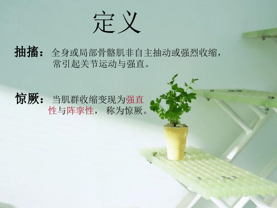 抽搐与惊厥ppt.ppt_第2页
