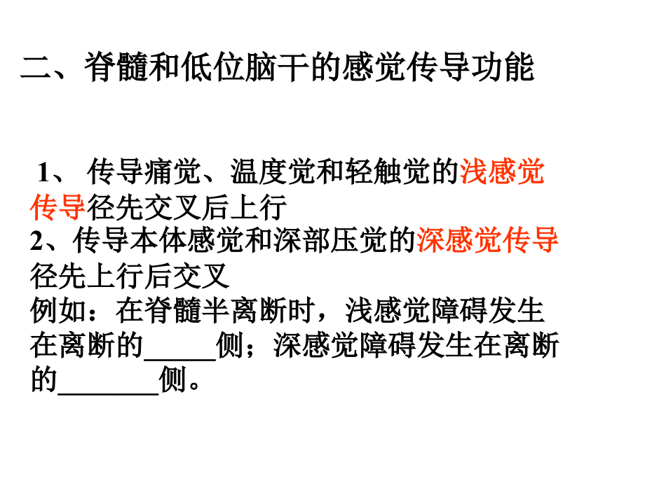第九章神经系统的感觉功能.ppt_第2页