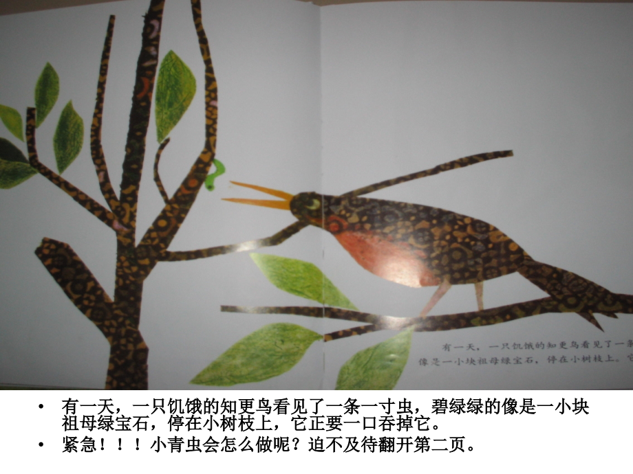 一寸虫_演示文稿.ppt_第2页