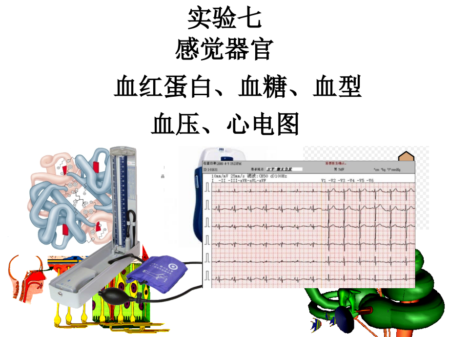 生理实验七.ppt_第1页