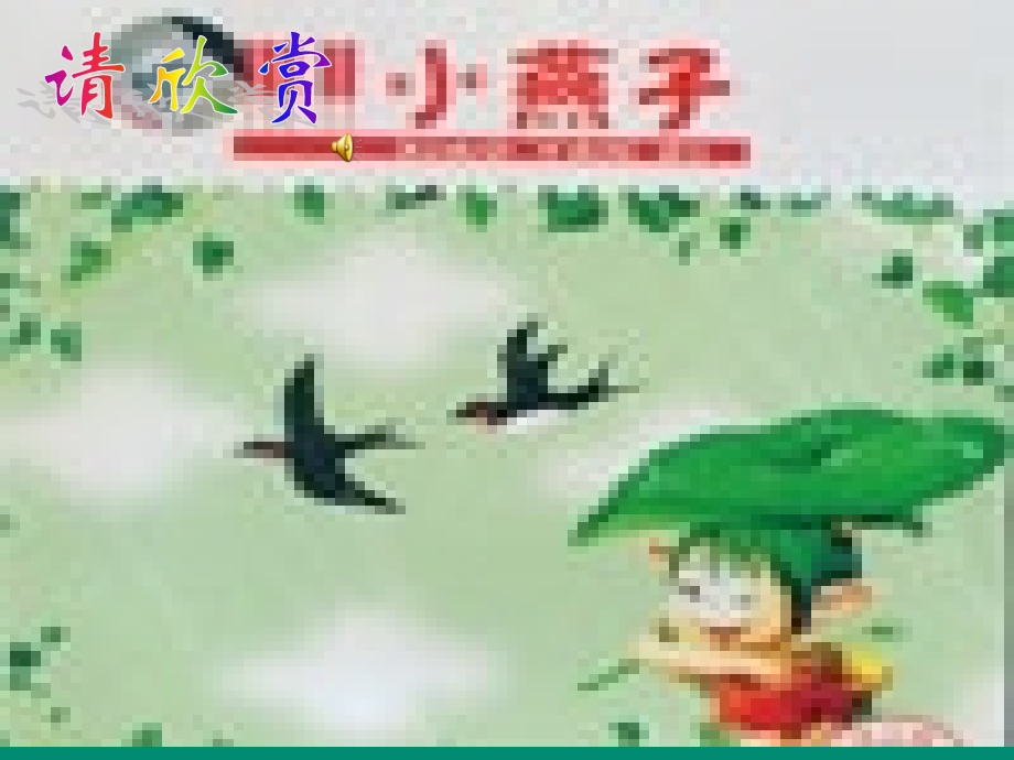 -燕子课件.ppt_第1页
