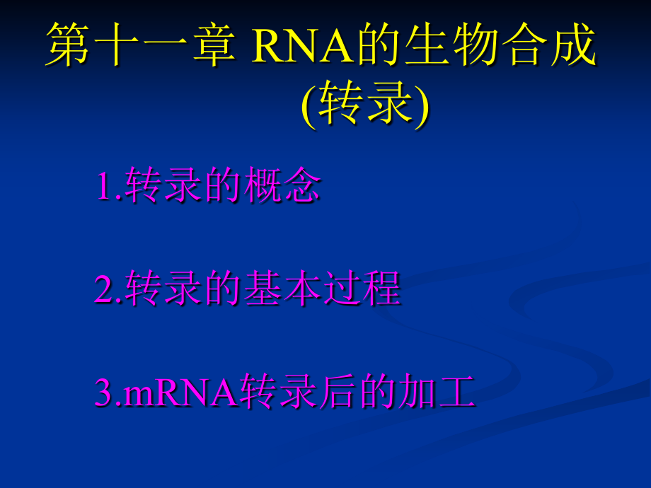 第十二章 转录.ppt_第1页