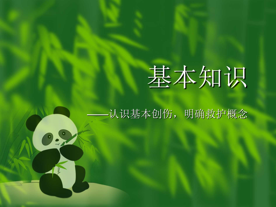 创伤救护,王宁.ppt_第2页