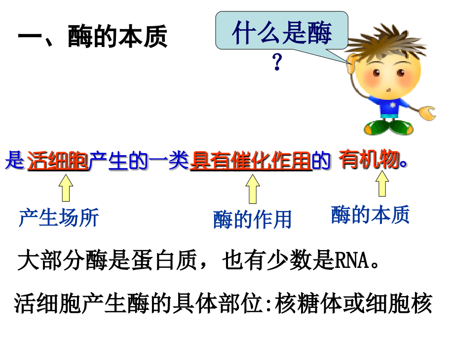 高考生物第一轮复习 酶.ppt_第2页