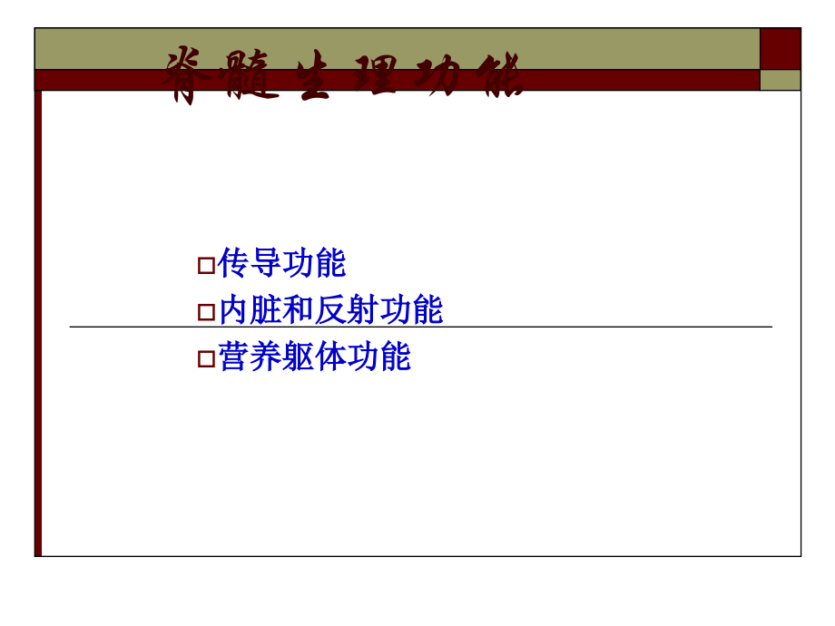 脊髓的神经解剖.ppt_第2页