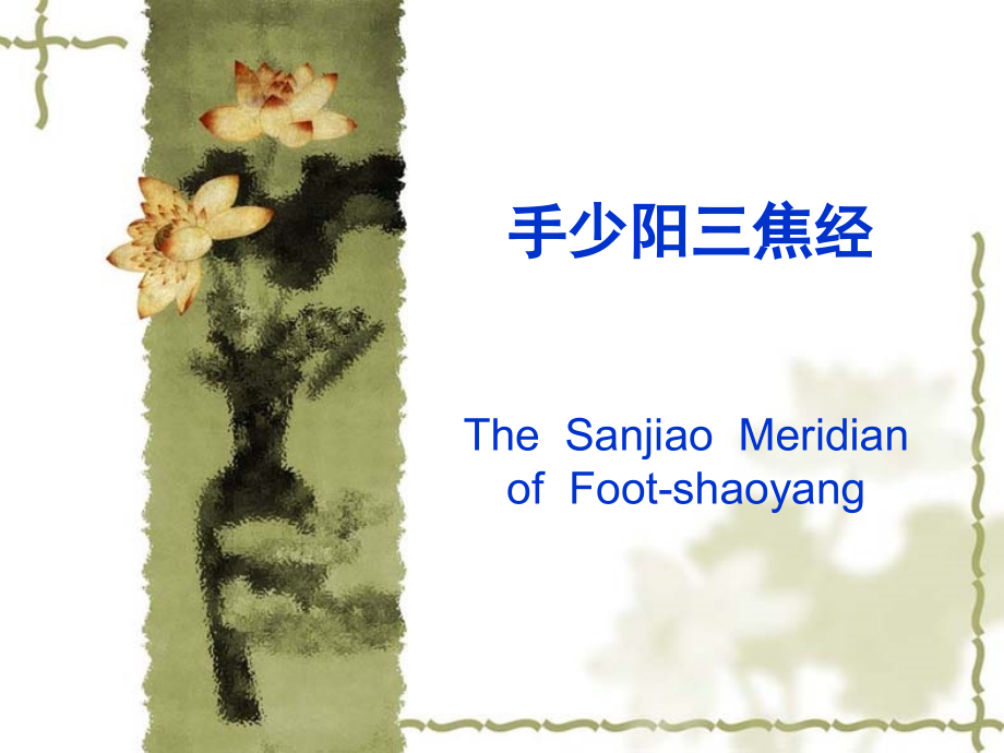 第十二章 手少阳三焦经.ppt_第1页