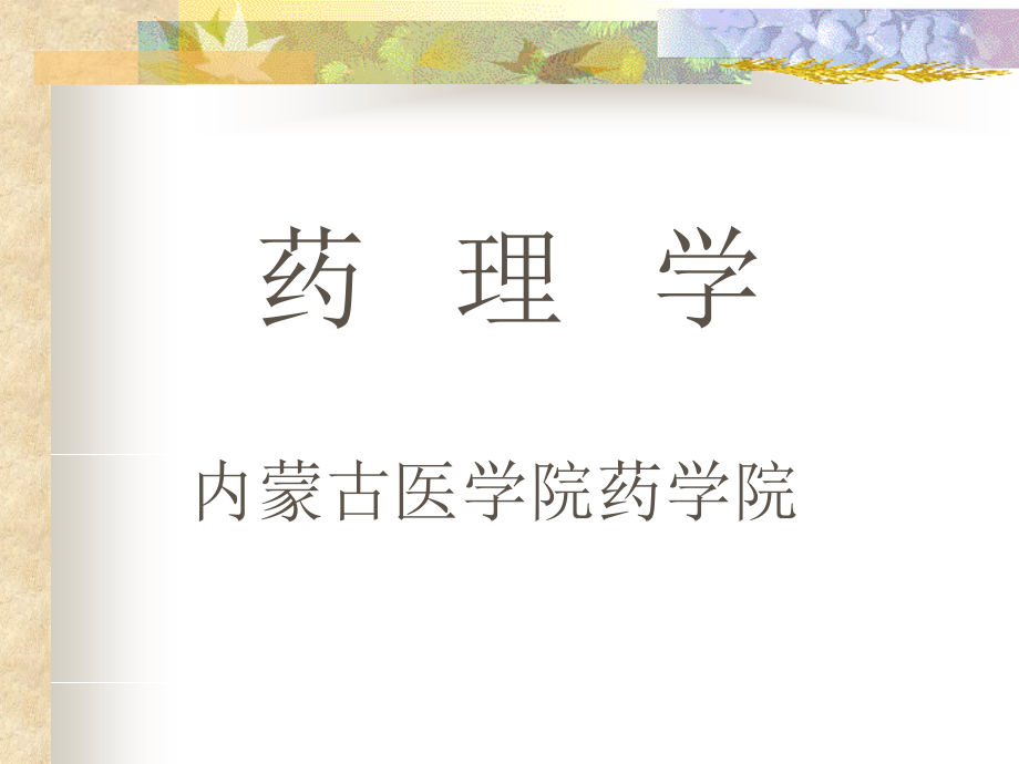 血脑屏障ppt.ppt_第1页