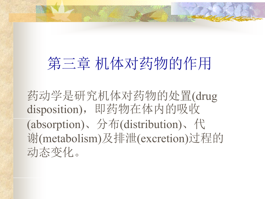 血脑屏障ppt.ppt_第2页