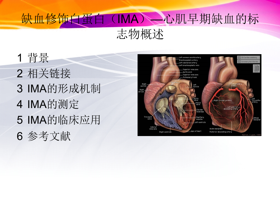 缺血修饰白蛋白.ppt_第1页