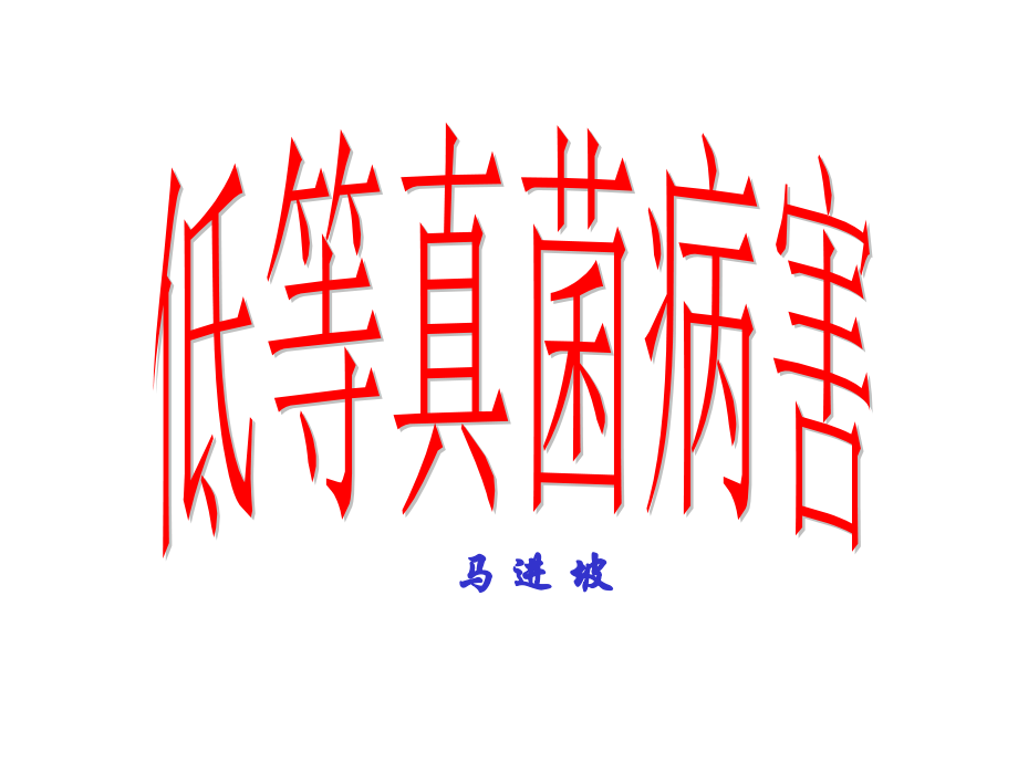 低等真菌病害.ppt_第1页