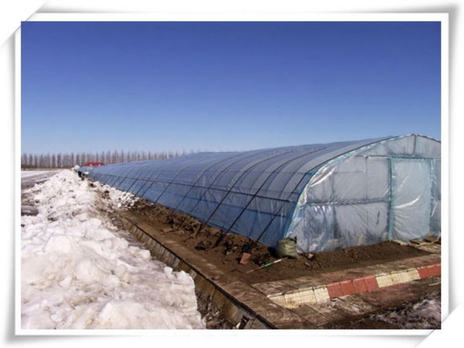 唱歌《大棚里的春天》.pptx_第2页