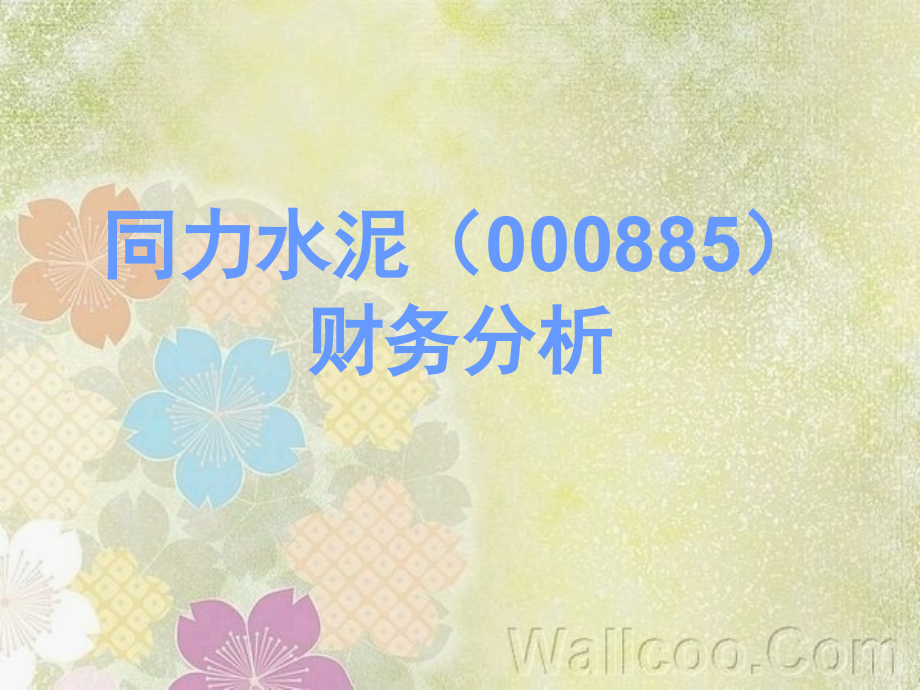 同力水泥财务分析2.ppt_第1页