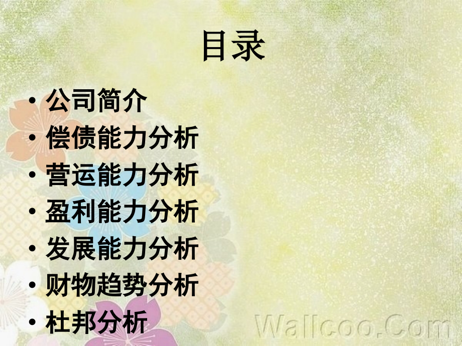 同力水泥财务分析2.ppt_第2页