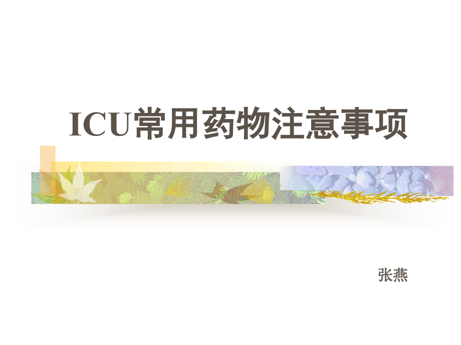 ICU常用药物使用注意事项.ppt_第1页