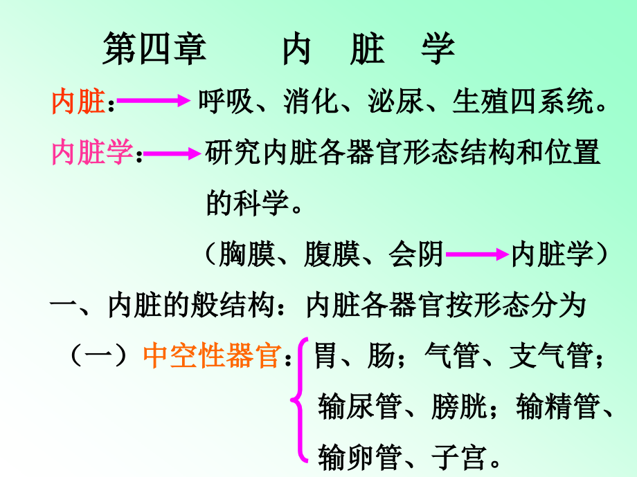 解剖学内脏知识笔记大全.ppt_第1页