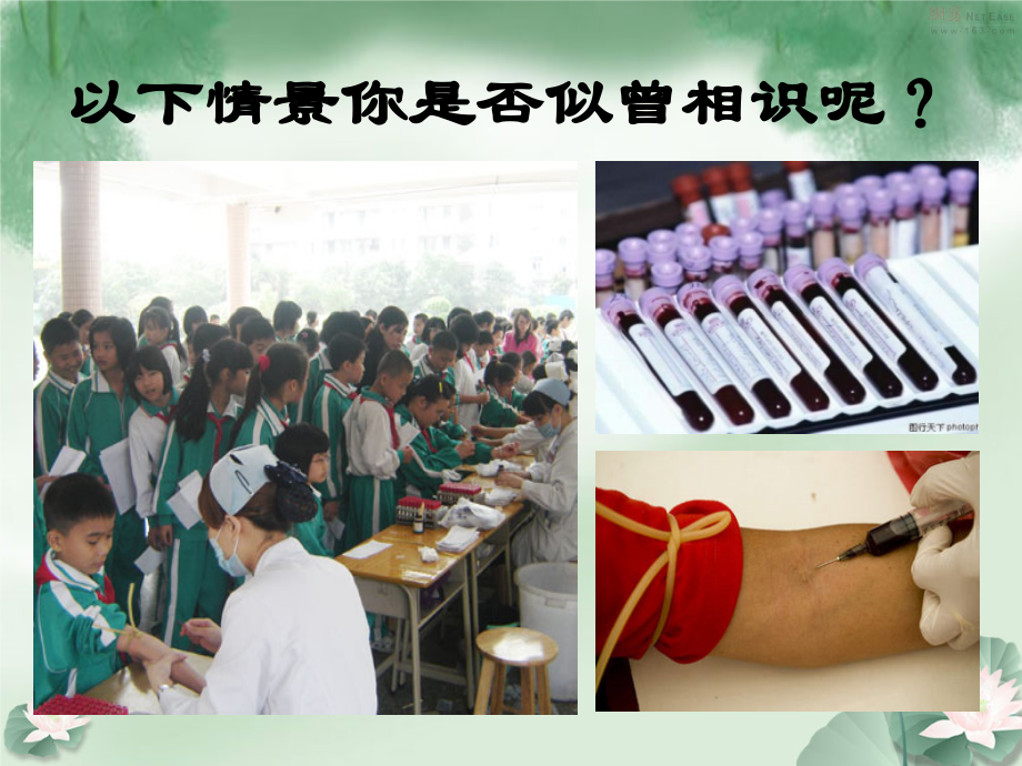 第四章-第一节-流动的组织─血液.ppt_第1页