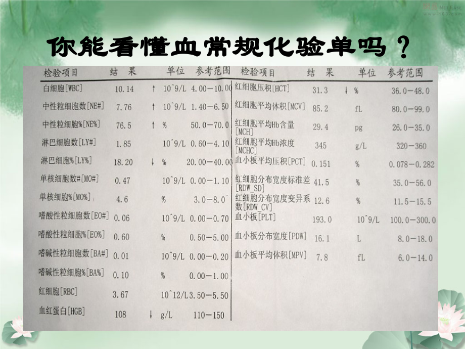 第四章-第一节-流动的组织─血液.ppt_第2页