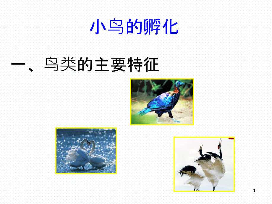 课件：小鸟的孵化.ppt_第1页