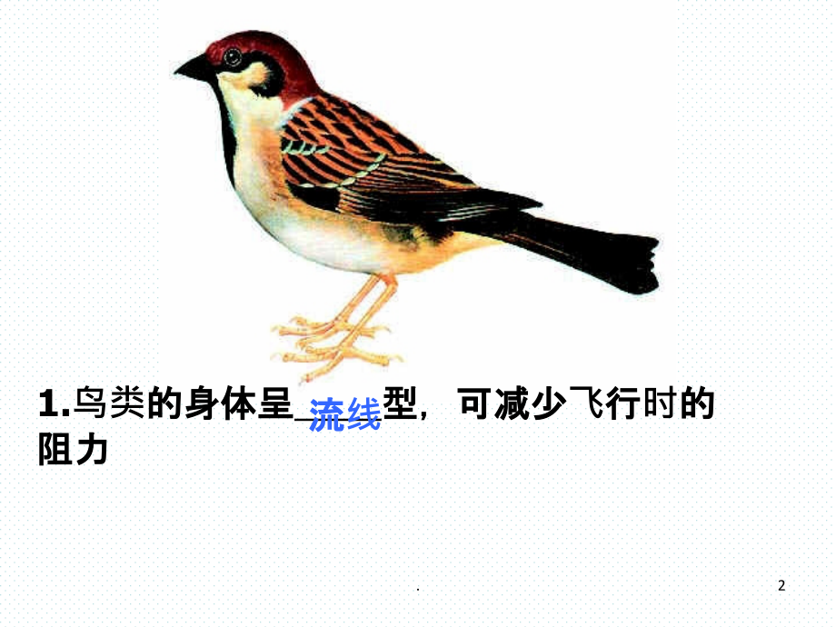 课件：小鸟的孵化.ppt_第2页