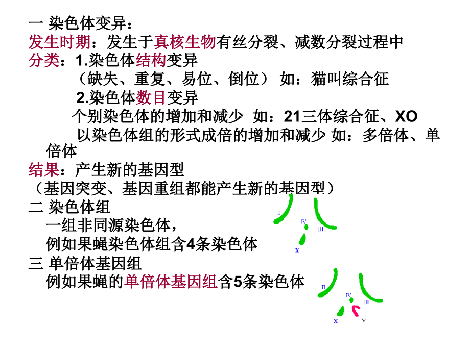高中生物遗传病.ppt_第1页