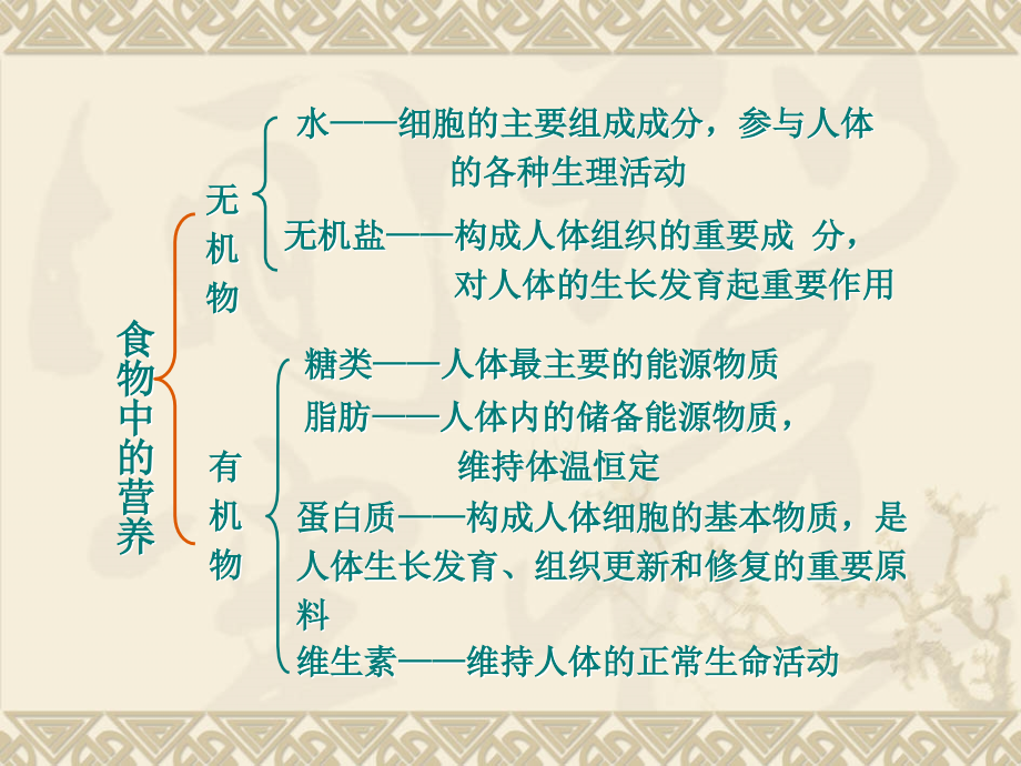 第二节 消化和吸收.ppt_第1页