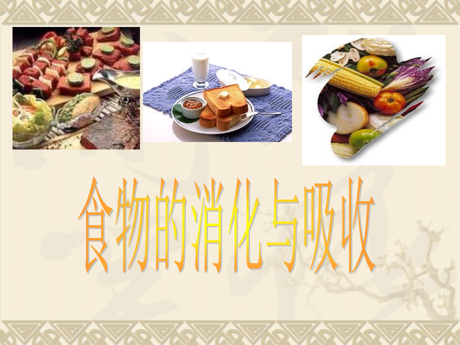 第二节 消化和吸收.ppt_第2页