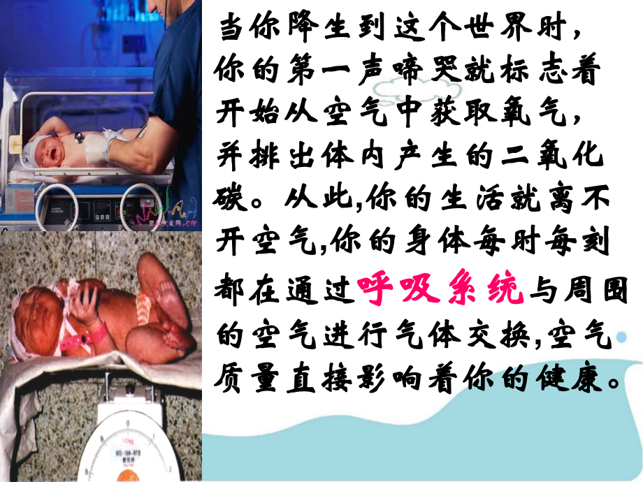 呼吸系统对空气的处理.ppt_第1页