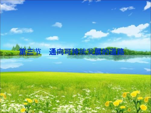 第三节通向可持续发展的道路.ppt