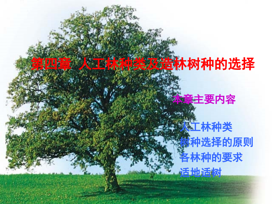 第四章人工林种类及造林树种的选择.ppt_第1页