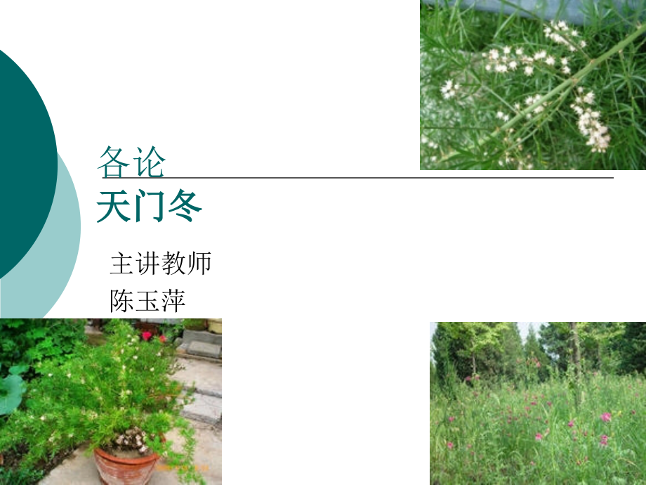 天门冬.ppt.ppt_第1页