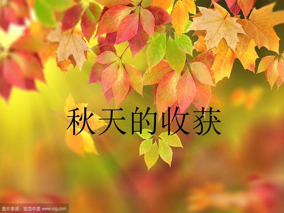五秋天的收获.ppt_第1页