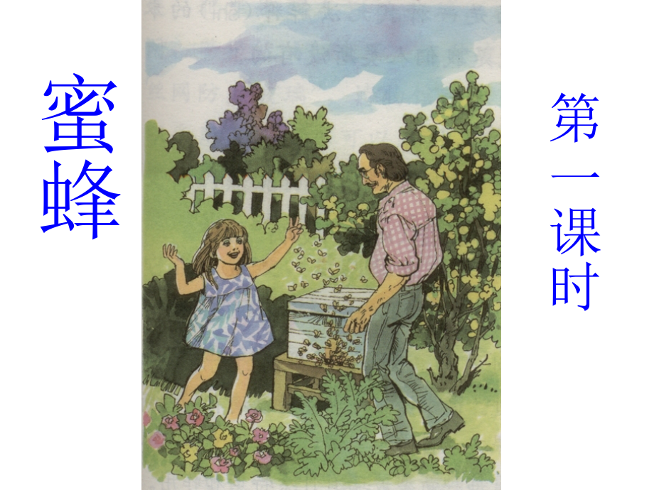 人教版第五册14、蜜蜂.ppt_第2页