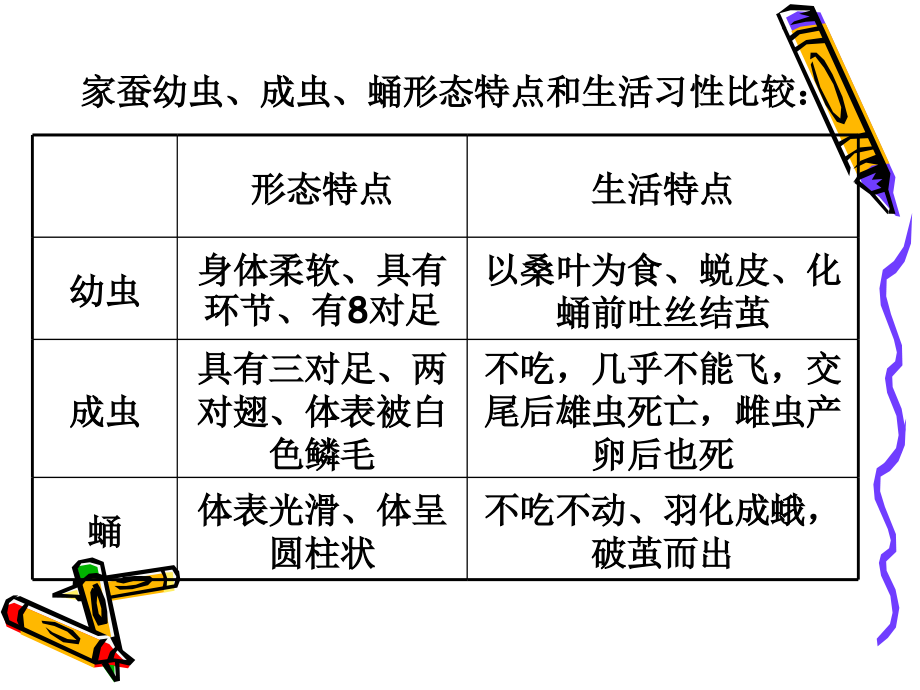 人教版八年级生物：家蚕幼虫、成虫、蛹形态特点和生活习性比较.ppt_第2页