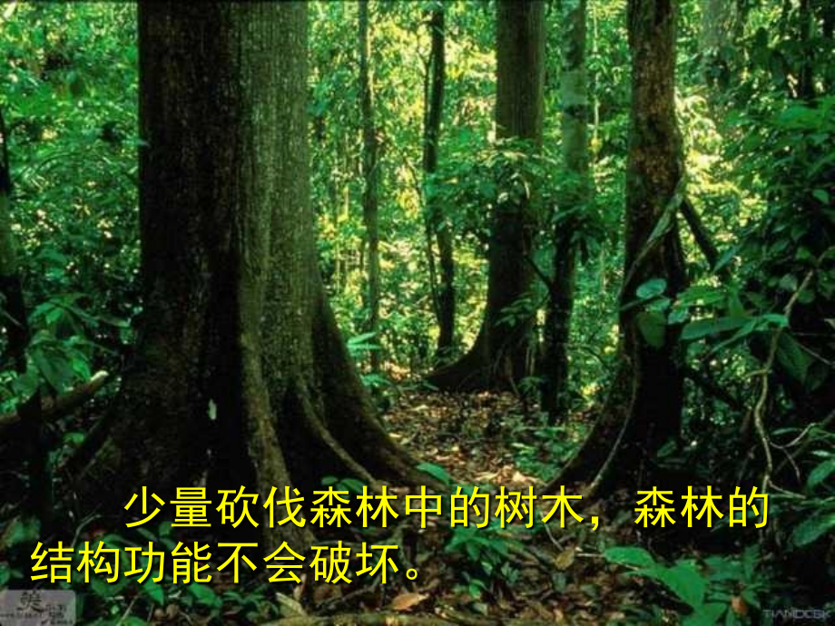 生态系统的稳定性(平时用).ppt_第2页