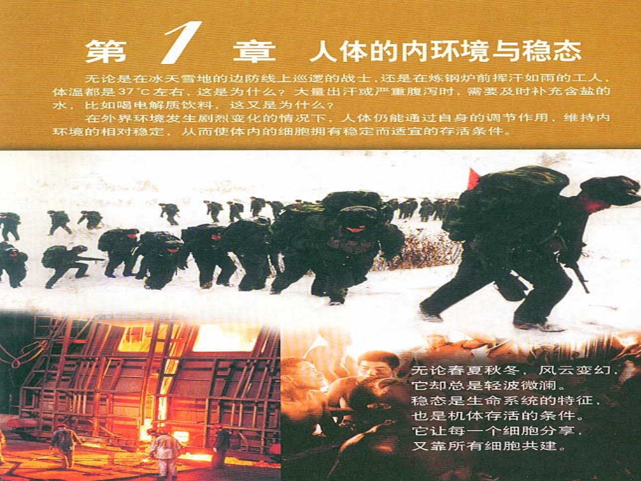 生物细胞生活的环境课件人教版必修3.ppt_第1页