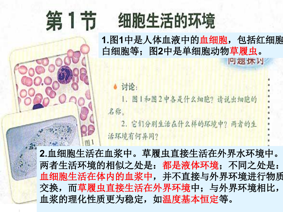生物细胞生活的环境课件人教版必修3.ppt_第2页