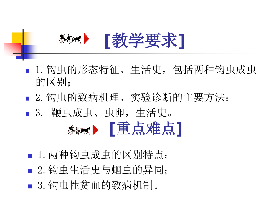 人体寄生虫学——钩虫.ppt_第2页