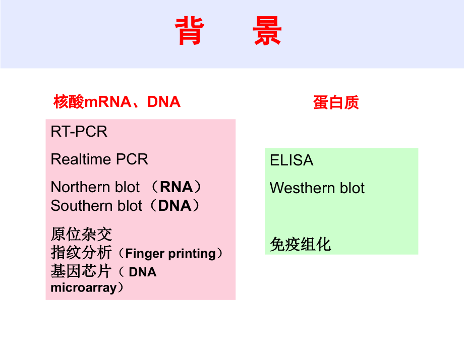 原位杂交.ppt_第2页