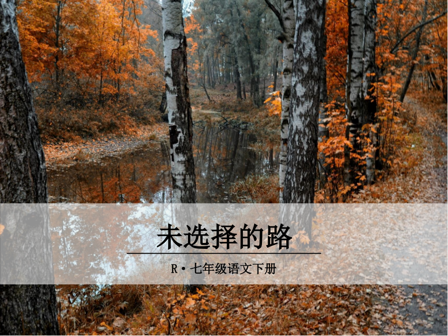 一条未走的路.ppt_第1页