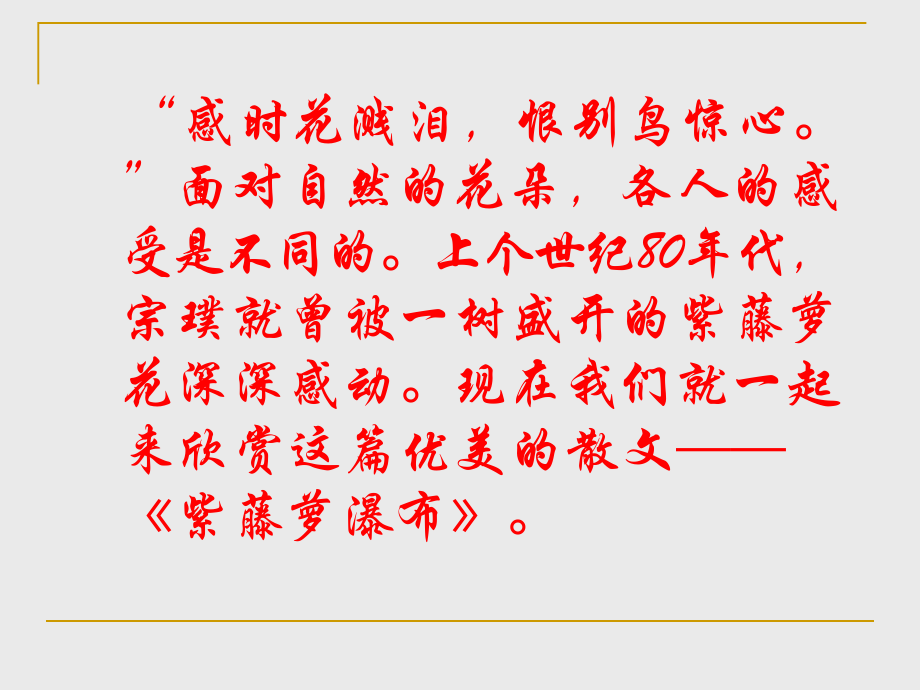 紫藤萝瀑布成品.ppt_第1页