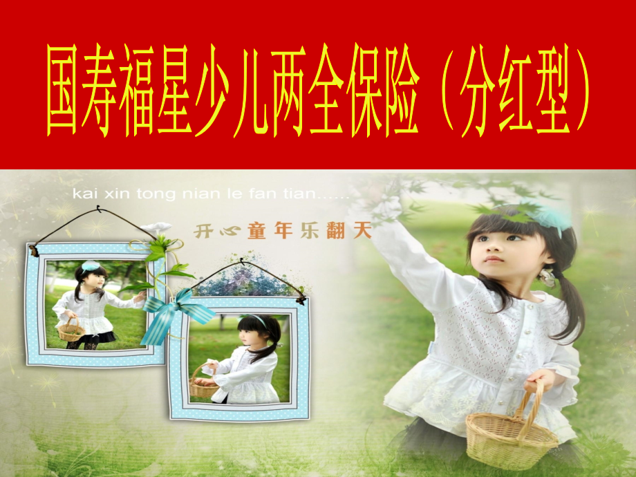 国寿福星少儿两全保险(分红型)产品介绍.ppt_第2页