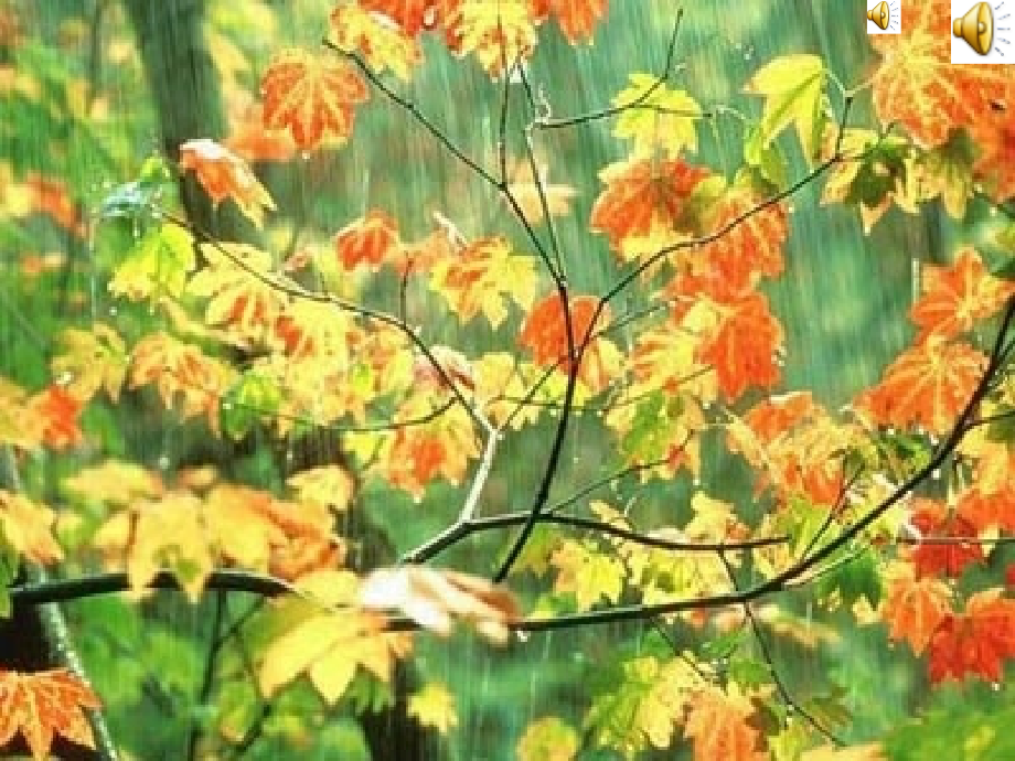 秋天的雨1.ppt_第1页