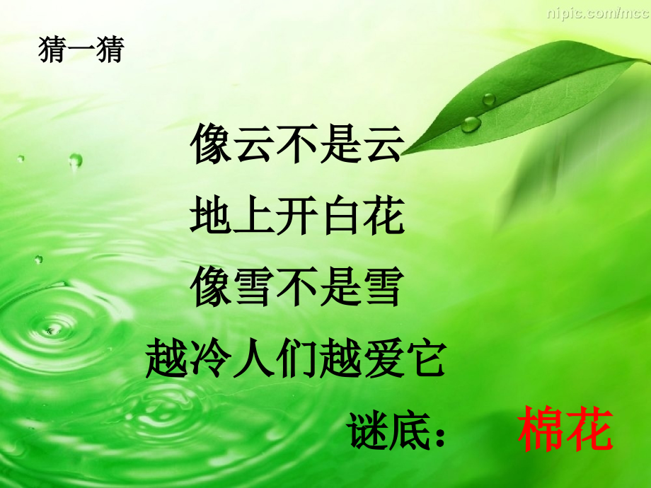 (部编)人教一年级上册棉花姑娘课件.ppt_第1页