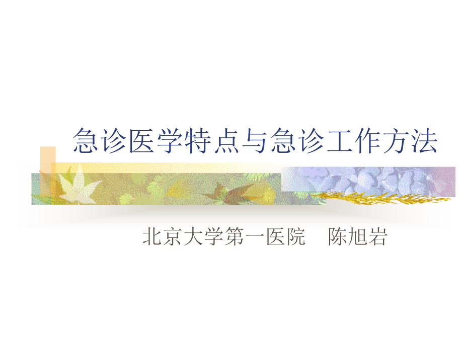 急诊医学特点与急诊诊治体会[1].ppt.ppt_第1页
