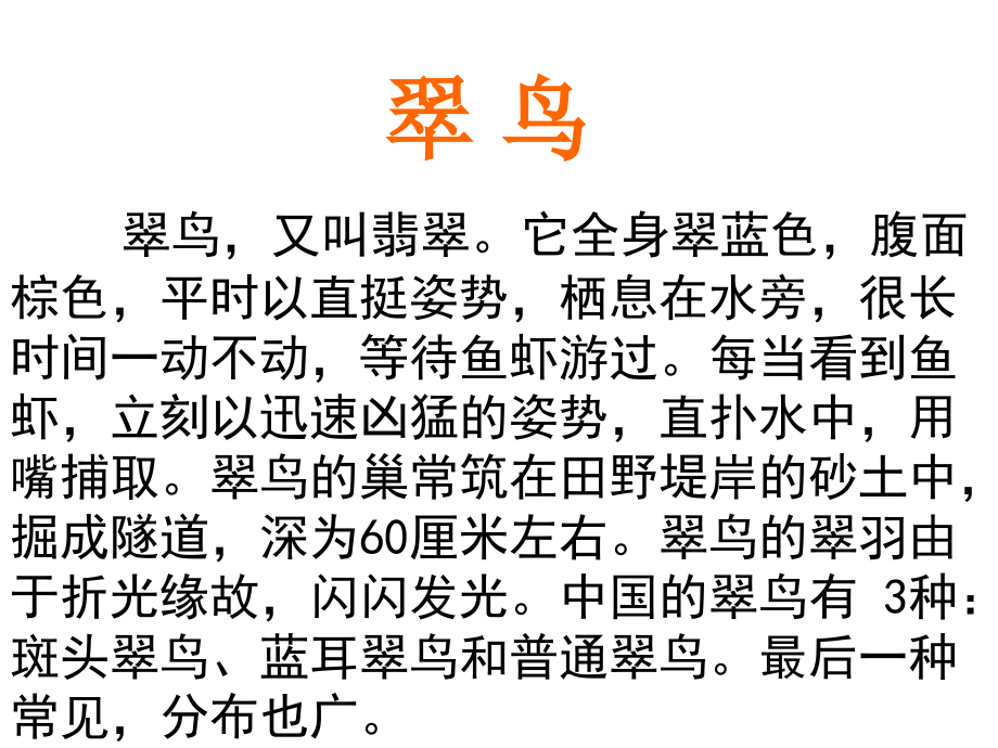 《翠鸟》ppt.ppt_第2页