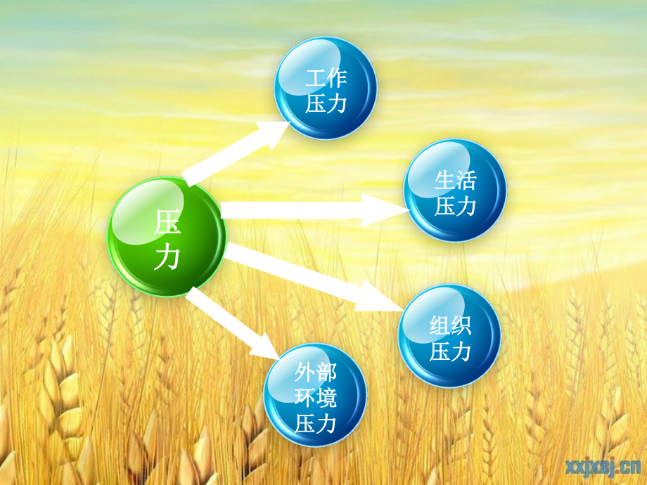 如何缓解压力(组织行为学).ppt_第2页
