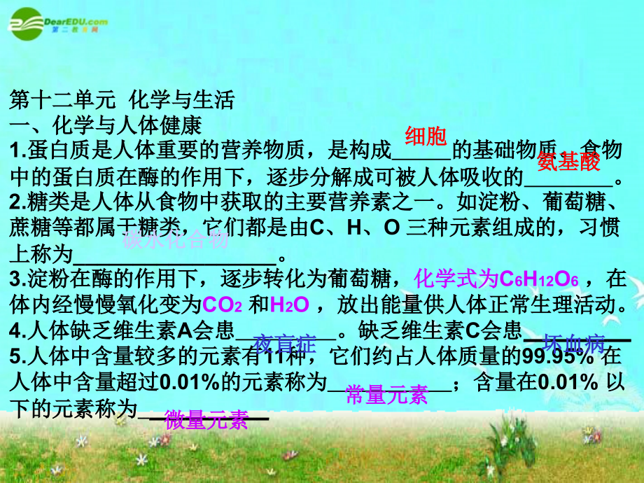 九年级化学_第十二单元化学与生活课件_人教版.ppt_第1页