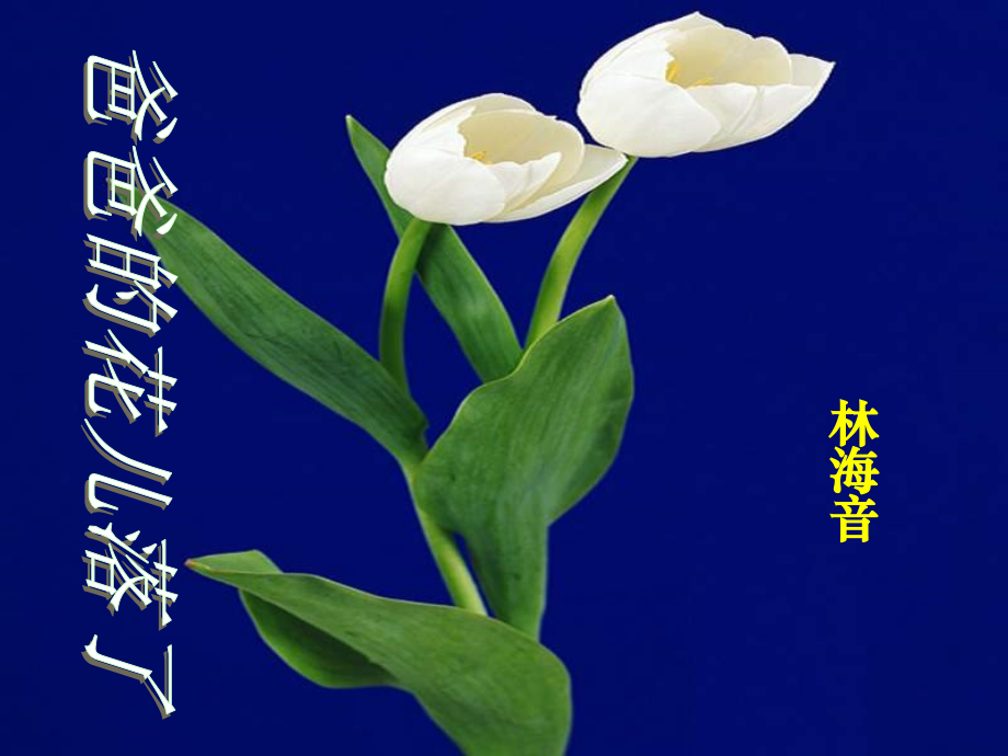 爸爸的花儿落了__课件.ppt_第1页