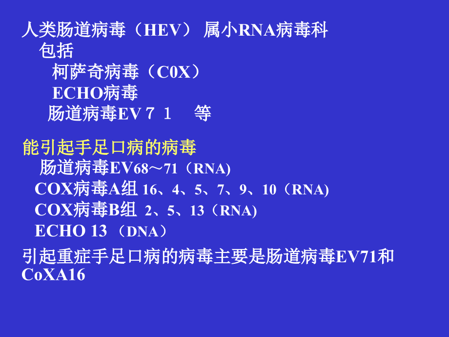 手足口病诊断治疗及预防(重症).ppt_第2页