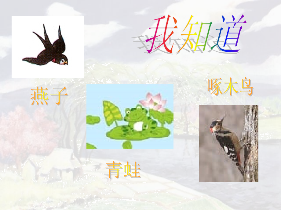 保护有益的动物.ppt_第1页